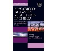 Jean-Michel Glachant Electricity Network Regulation in the EU (Copertina rigida)