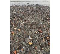 Jean-Michel Meyers Jan Lemaire Bram van Meervelde Jutten (Tascabile)