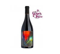 JEAN-PIERRE ROBINOT LE REGARD 2021 VINO ROSSO PINEAU D'AUNIS LOIRA FRANCIA