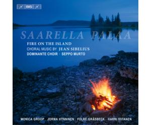 Jean Sibelius Fire On the Island (CD) Album