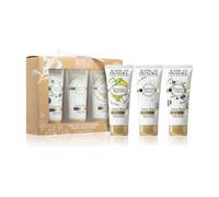 Jeanne en Provence Olive/Jasmine/Verbena Set cura mani - Set cura mani