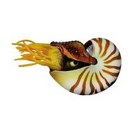 JECOMPRIS Decorazioni a Guscio Conchiglie Decorazione Conchiglia Nautilus Decori Prodotti Decorazione del Serbatoio di Pesce del Paesaggio Decorazioni per acquari per Pesci d'acquario
