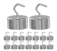 JECOMPRIS Set di Pesi di Studio 50 Pezzi 10 G Ciascuno in Metallo Cromato per Esperimenti di Fisica e Misurazioni in Laboratorio