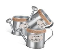 JECOMPRIS Vaso Decorativo in Metallo per Fiori Annaffiatoio Vintage Compatto Contenitore per Composizioni Floreali Decorazione per Matrimoni e Feste