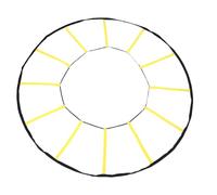 Jectse Agility Trainer, 12 Pioli Circle Speed e Agility Ladder Reaction Training Equipment per Esercizi e abilità di Footwork Reattivo Ad Alta intensità