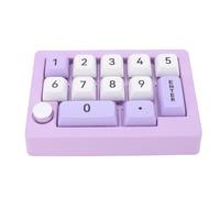 Jectse Tastierino Numerico Meccanico, Tastierino Macro Programmabile a 12 Tasti Retroilluminato RGB Cablato USB con Controllo Tramite Manopola Joystick, per Giocare e Lavorare su (PURPLE)