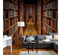 JEDTAKCT Carta Da Parati Fotografica 3D Effetto Biblioteca Medievale, Non Include Colla, Architettura Retrò Marrone Carta Per Pareti Soggiorno Camera Da Letto Sala Fotomurali Poster, 250X175Cm