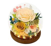 Jeenuuder Fiori veri e duraturi, regalo floreale per inviare per tutte le occasioni, per la decorazione di interni 12,5 x 11 cm