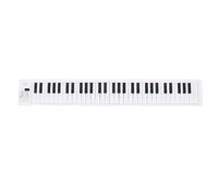 Jeffergarden Pianoforte Pieghevole a 61 Tasti Tastiera Portatile Pianoforte Pieghevole a 61 Tasti con Riproduzione Registrata 100 Ritmi 25 Brani Demo per Principianti Studenti Professionisti