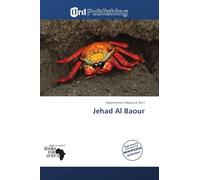 Jehad Al Baour: Professional, Tennis, Player, Beach, Challengers