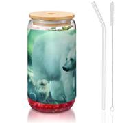 JEJEA Northern Lights - Bicchieri in vetro con coperchio e cannucce in bambù, a forma di lattina, bicchieri da cocktail, trasparenti
