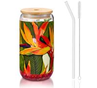 JEJEA Tazze di vetro a forma di uccello tropicale del paradiso con coperchi e cannucce in bambù, tazza da caffè, tazze a forma di lattina, bicchieri, cocktail, trasparenti