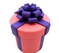 Jelaqmot Annoying Nested Screw Gift Box,Reusable Prank Box For Cash & Surprises, Christmas & Birthday & White Elephant Party (Pink+Purple,L)