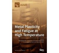 Jelena Srnec Novak Denis Benas Metal Plasticity and Fatigue (Copertina rigida)
