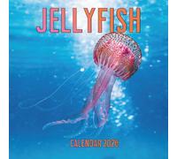 Jellyfish Calendar 2026: 14-Month Organizer from Nov 2025 to Dec 2026 | Perfect for Home, Office, School & Family Scheduling, For Men , Women , Girls , Boys