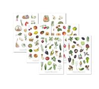 Jellyfish Stickers Set Di 6 Adesivi Da Cucina Per Diari, Planner, Frutta E Verdura, Ricette, Cibo E Bevande, Libro Di Cucina, Dieta