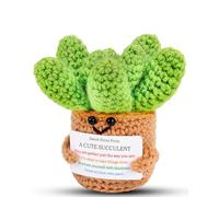 JELUTAR Pianta grassa positiva all'uncinetto, regalo di ringraziamento per compleanno, Pasqua, festa della mamma, regalo emotivo edificante per donne, uomini, mamma, papà, amici, moglie, colleghi