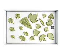 JEM - Tagliapasta Foglie per Cake Design 3, Confezione da 40 Pezzi