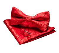 JEMYGINS Papillon Uomo Rosso Paisley Design Regolabile in Diversi Colori Partito cena di gala con Fazzoletto e Gemelli