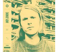 Jenkins, Andy - Sweet Bunch (Clear Vinyl)