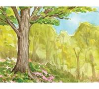 Jenny deFouw Geuder The Seasons Boxed Notecard Assortment (Postcards)