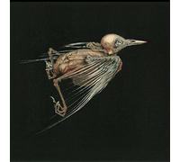 Hval, Jenny/ Susanna - Meshes Of Voice