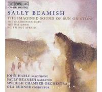 Jens Braun The Imagined Sound Of Sun On Stone (CD) Album