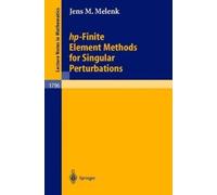 Jens M. Melenk hp-Finite Element Methods for Singular Perturbations (Tascabile)