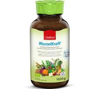 Jentschura RootPower Biologico