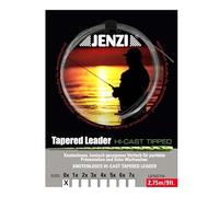 Jenzi Leader affusolato (240 cm), tipo di aeroplano: 4 X 0,18/0,54