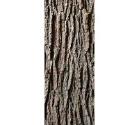 Jeorywoet Corteccia di Albero Artificiale da 1 * 0, 4 m, Corteccia realistica per Decorazioni di Tubi di pilastri, Aspetto di Simulazione tagliabile per colonne, pareti, Pavimenti, Alberi