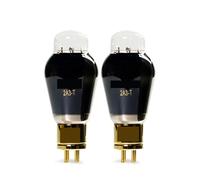 JEQGDLUI 1/2/4 Pezzi Tubo 2A3-T(2 PCS)
