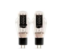 JEQGDLUI 1/2/4 Pezzi Tubo a Vuoto 300B sostituisce Il Tubo Audio WE300B 300BN(2 PCS)