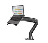 JEQGDLUI Braccio a molla a gas F100A 10quot; - 17.0quot; Il supporto for laptop da 17 POLLICI 360 ruota il braccio di supporto for notebook da tavolo girevole inclinabile con porte USB 3.0(BLACK)