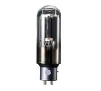 JEQGDLUI Il Tubo HiFi Audio 845 A845 sostituisce WE845 E-845 845-TII 845-T 845-DG Kit Amplificatore valvolare Corrispondenza Fai da Te(1 PCS)