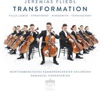 Jeremias Fliedl Jeremias Fliedl: Transformation (CD) Album Digipak