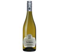 Pinot Grigio DOC Friuli 2025