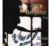 JERRY BERGONZI TRIO - Lost Within the Shuffle