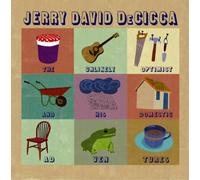 Jerry David Decicca The Unlikely Optimist and His Domestic Adventures (Vinyl LP)