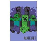 Jerry Fabrics Minecract - Coperta in pile super morbida, 100 x 150 cm, regalo per bambini, adolescenti e adulti