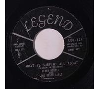JERRY NORELL & BEACH GIRLS - what is surfin' all about / salt water taffy