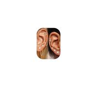 JeryWe Set Orecchini Donna Acciaio Inossidabile Piercing Orecchio Orecchini Anallergici Donna 4 Paia Con 2 Catene Helix Piercing Trago - Fiore - Argento