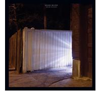 Jesse Ruins Dream Analysis (Vinyl LP)