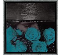 Jessica Bailiff - At the Down Turned Jagged Rim of the Sky