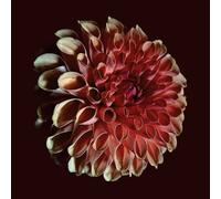 Jessica Moss Unfolding (CD) Album