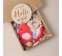 Jessruly Set regalo per neonati, elementi essenziali per il bagno e ciondolo massaggiagengive a forma di uccello, oggetti di scena per foto e cesto regalo per celebrare i primi momenti (rosso)