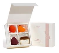 Jessup Set spugnetta trucco, 3 pezzi spugne viso e 1 pennello fondotinta, spugne morbide di bellezza spugna per fondotinta spugna per trucco e correttore Confezione regalo T505