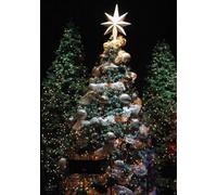 Jesus: The Reason for Season