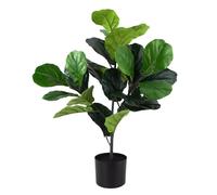 Jesustree Ficus Lyrata Artificiale, Foglia di Violino Artificiale 80cm Albero di Fico, Piante Finte in Vaso, per Interni ed Esterni, Casa, Ufficio, Giardino, Decorazione Moderna, Regalo (1 pack)