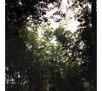 Jetenderpaul The Woolen Spires (CD)